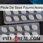 Black Ant Sex Pill 07